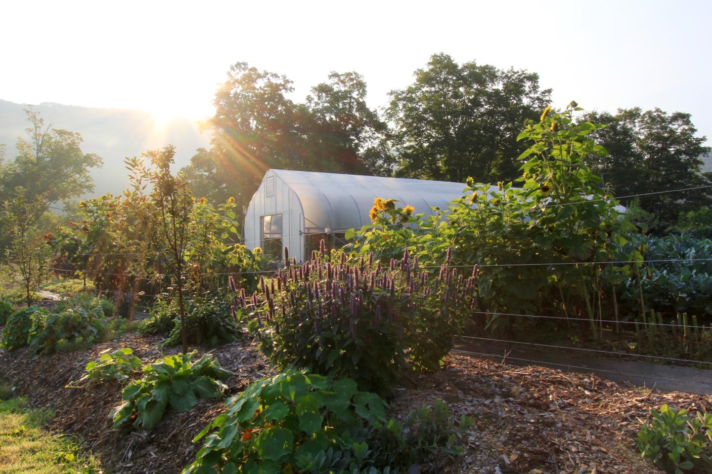 Kelly Way Gardens The Woodstock Inn and Resort